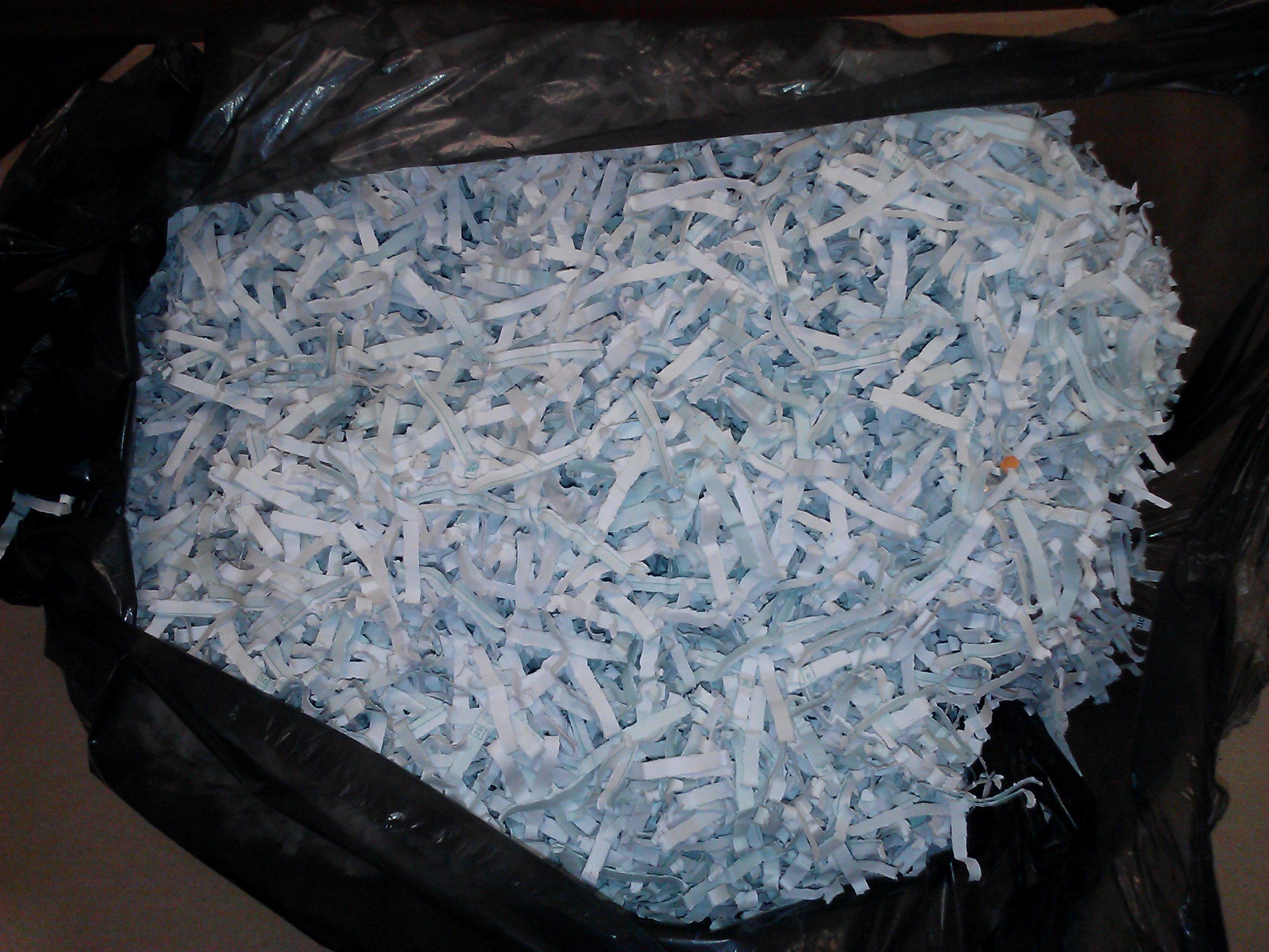 shredded paper.jpg