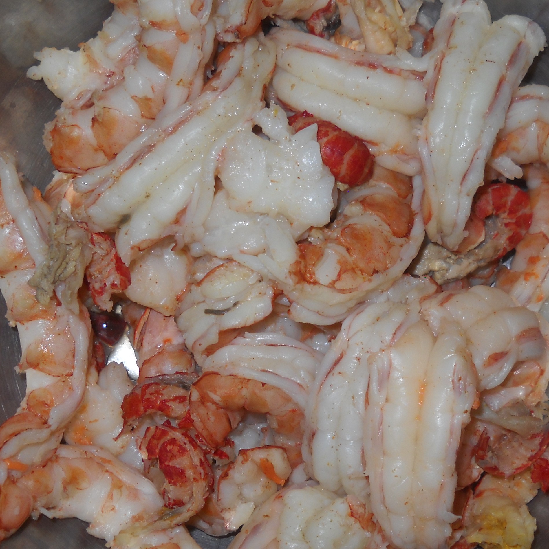 shrimp cropped.JPG