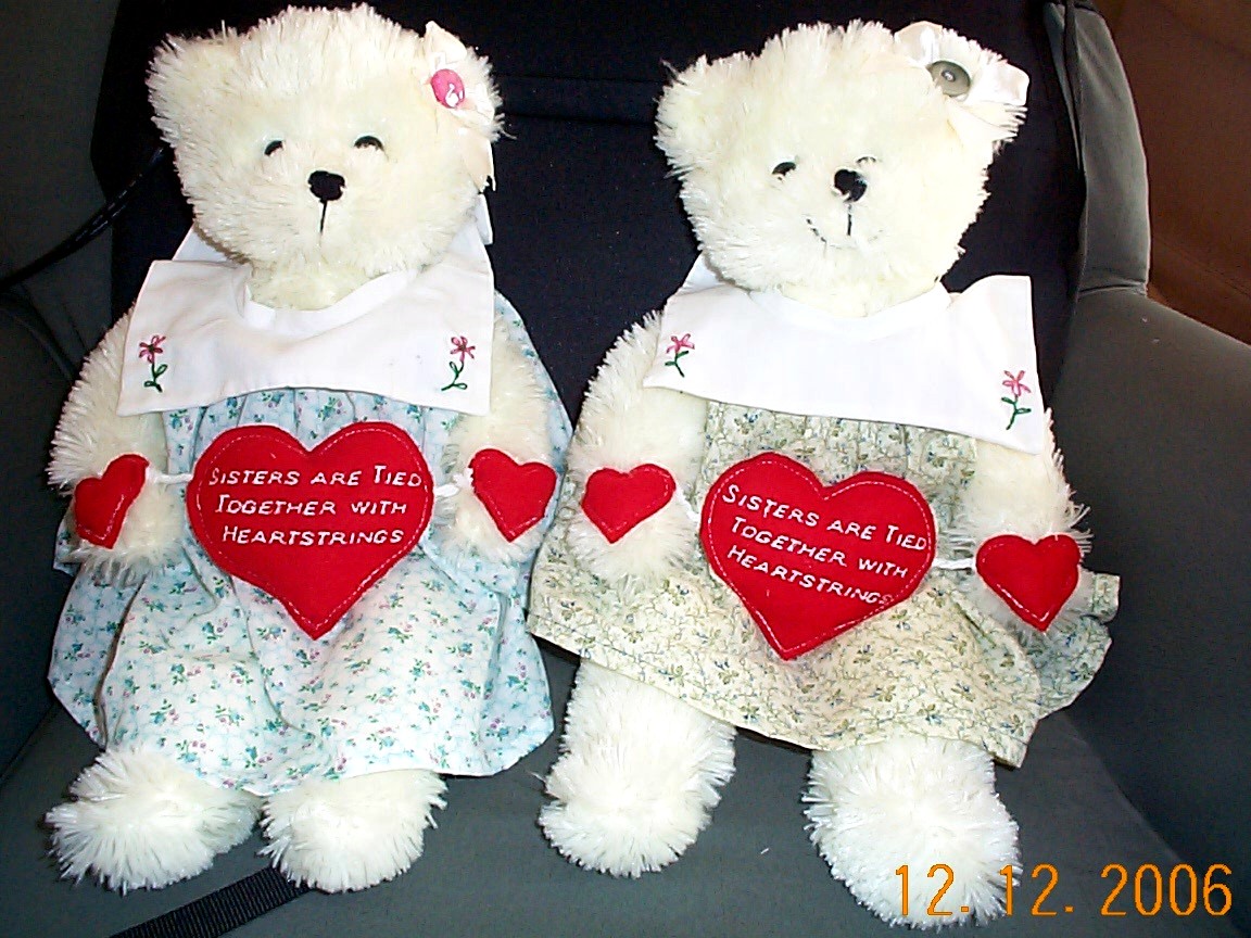 sister heartstrings bears.jpg