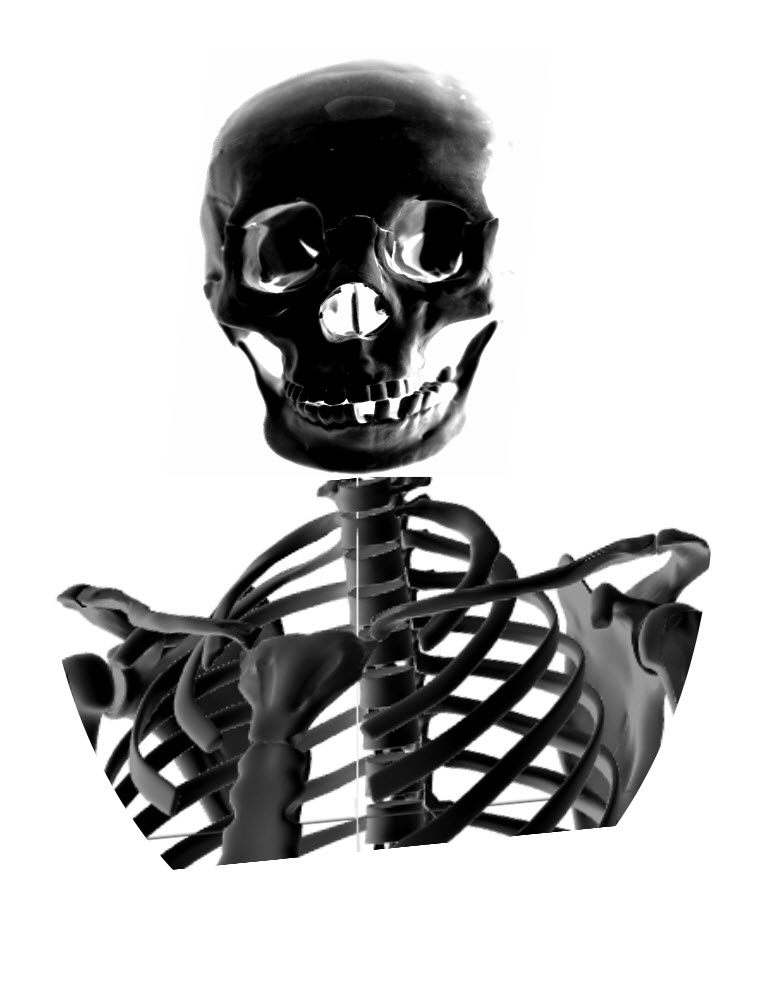 skeleton.jpg