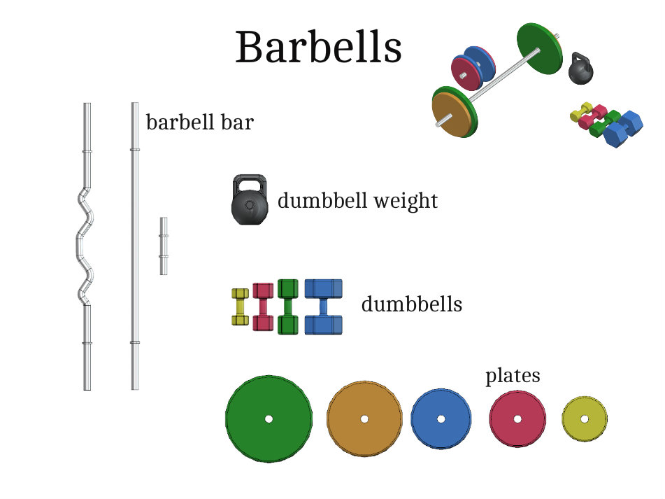 sketch barbells.jpg