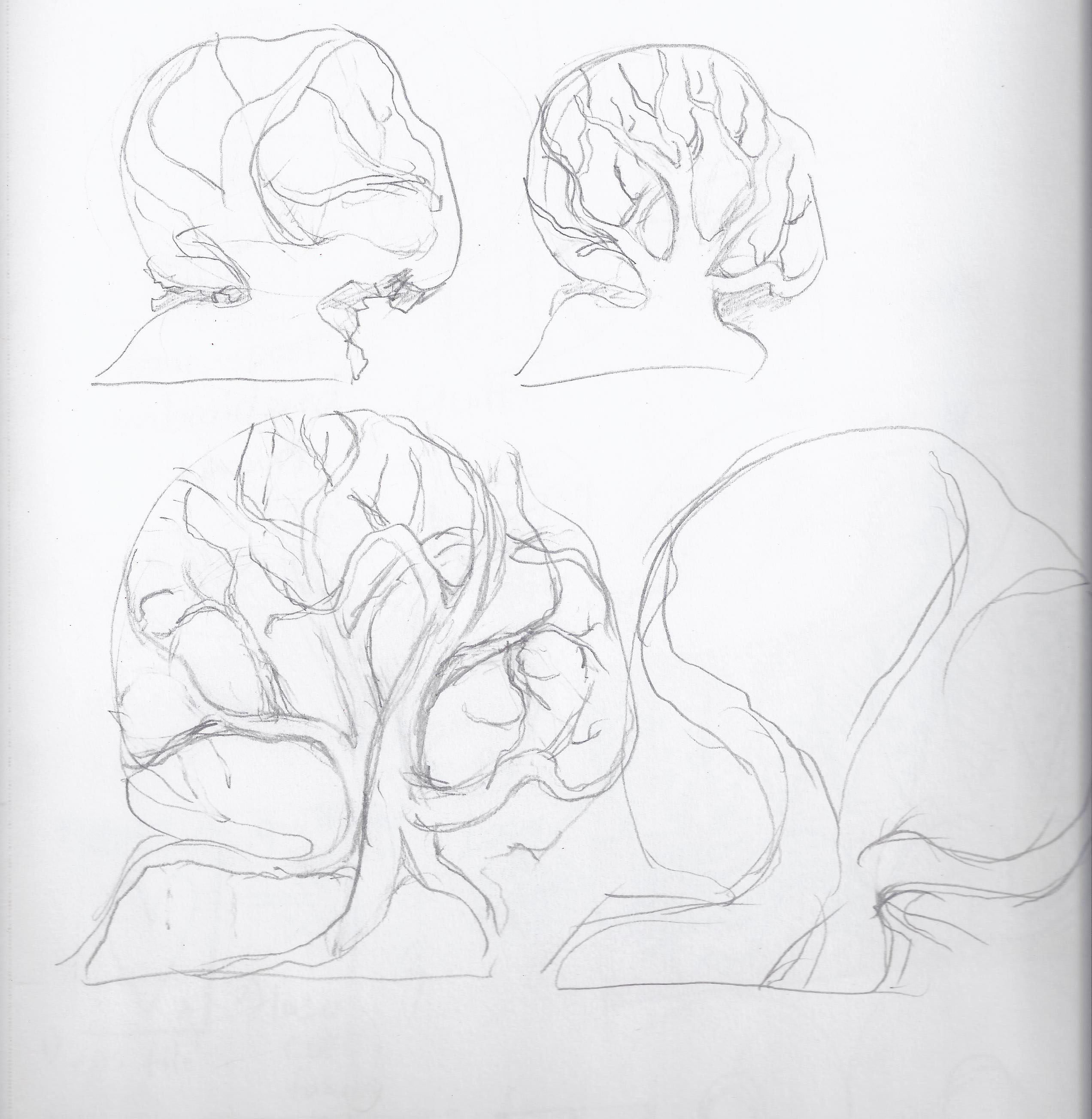 sketches.jpg