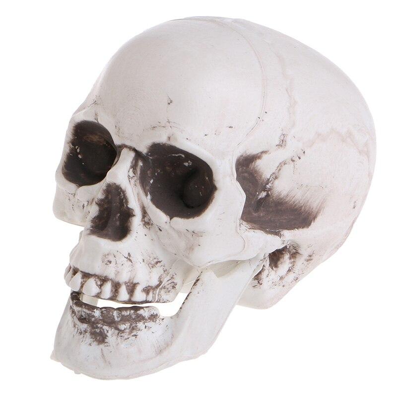 skull.jpg