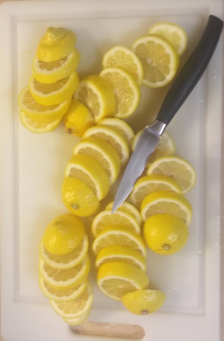 sliced lemons.jpg