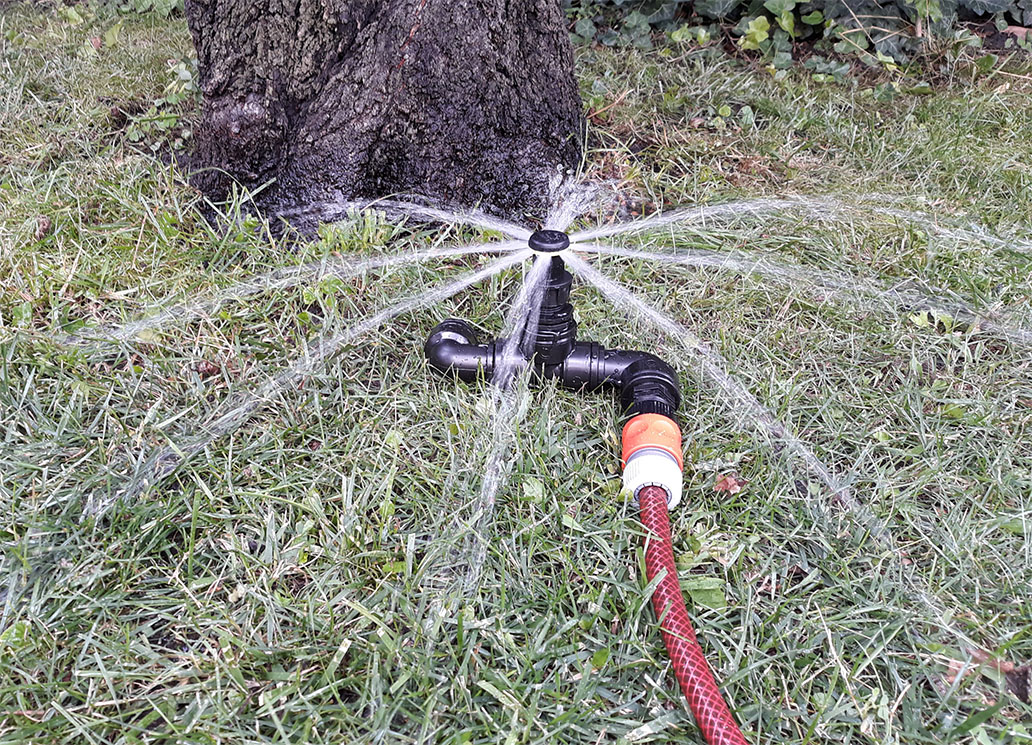 small tree, shrub irrigation_01.jpg