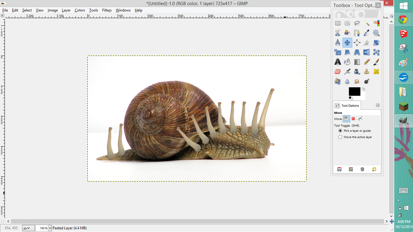 snail image 5.png