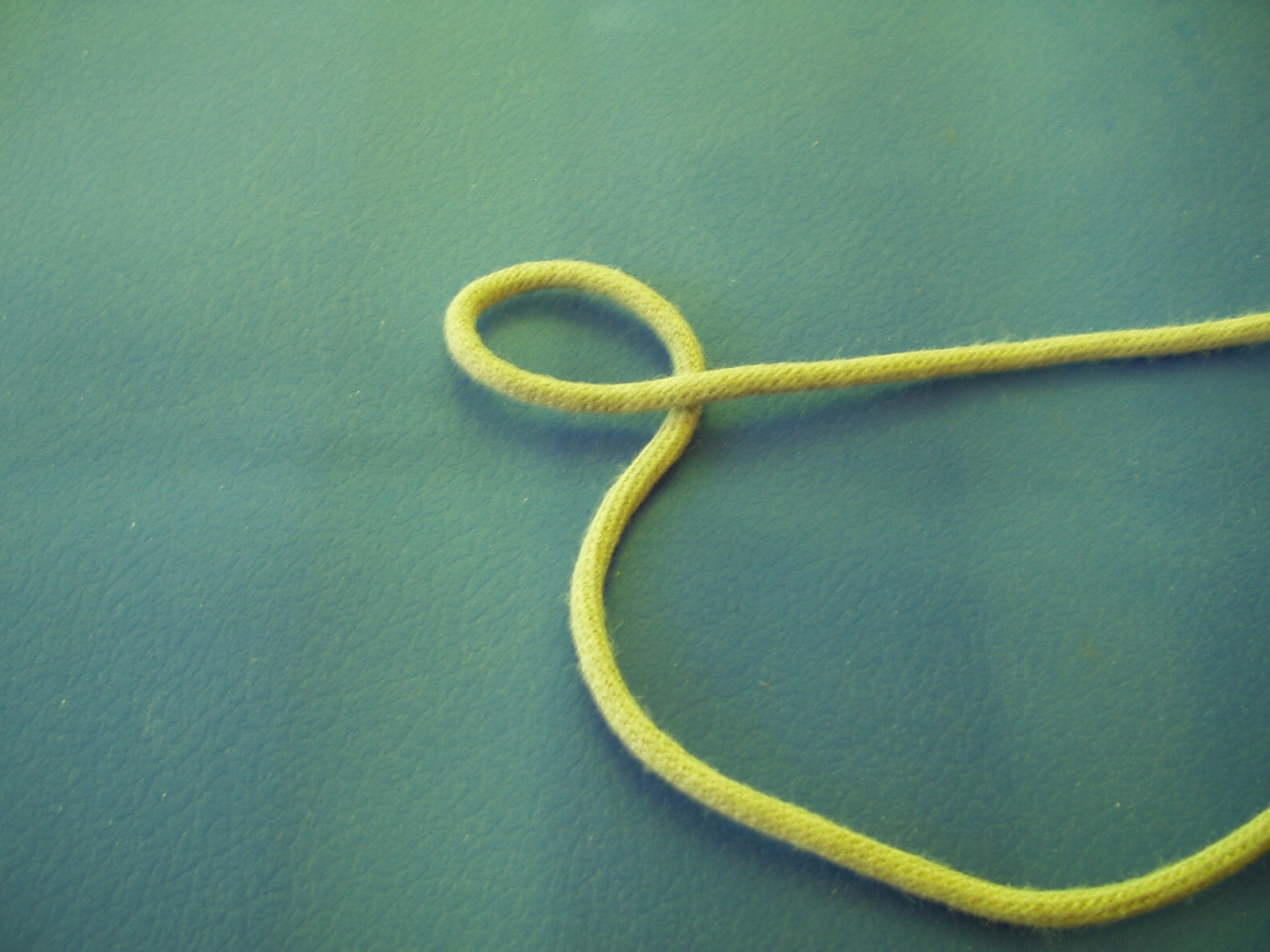 snake knot 002.JPG