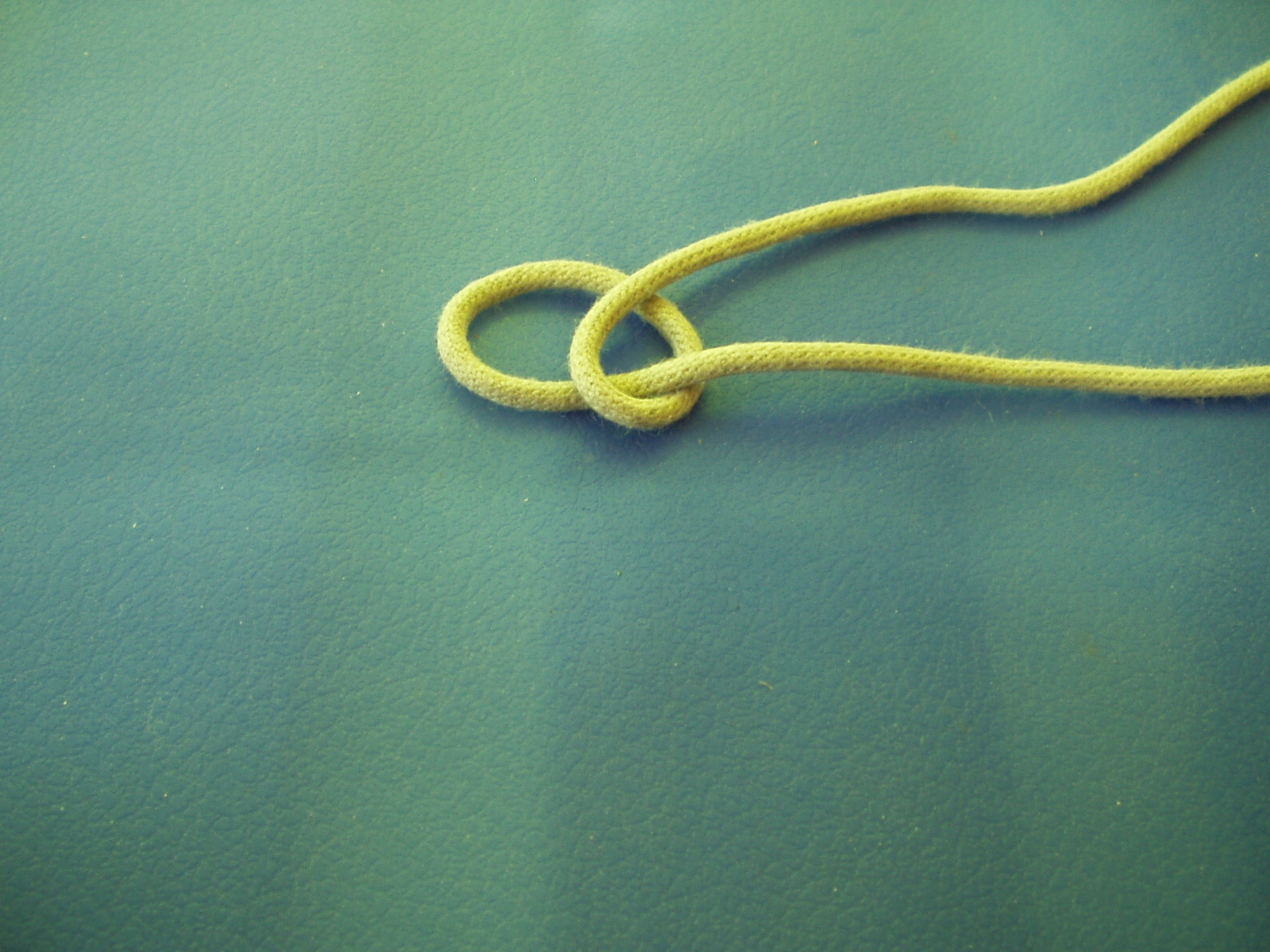 snake knot 003.JPG