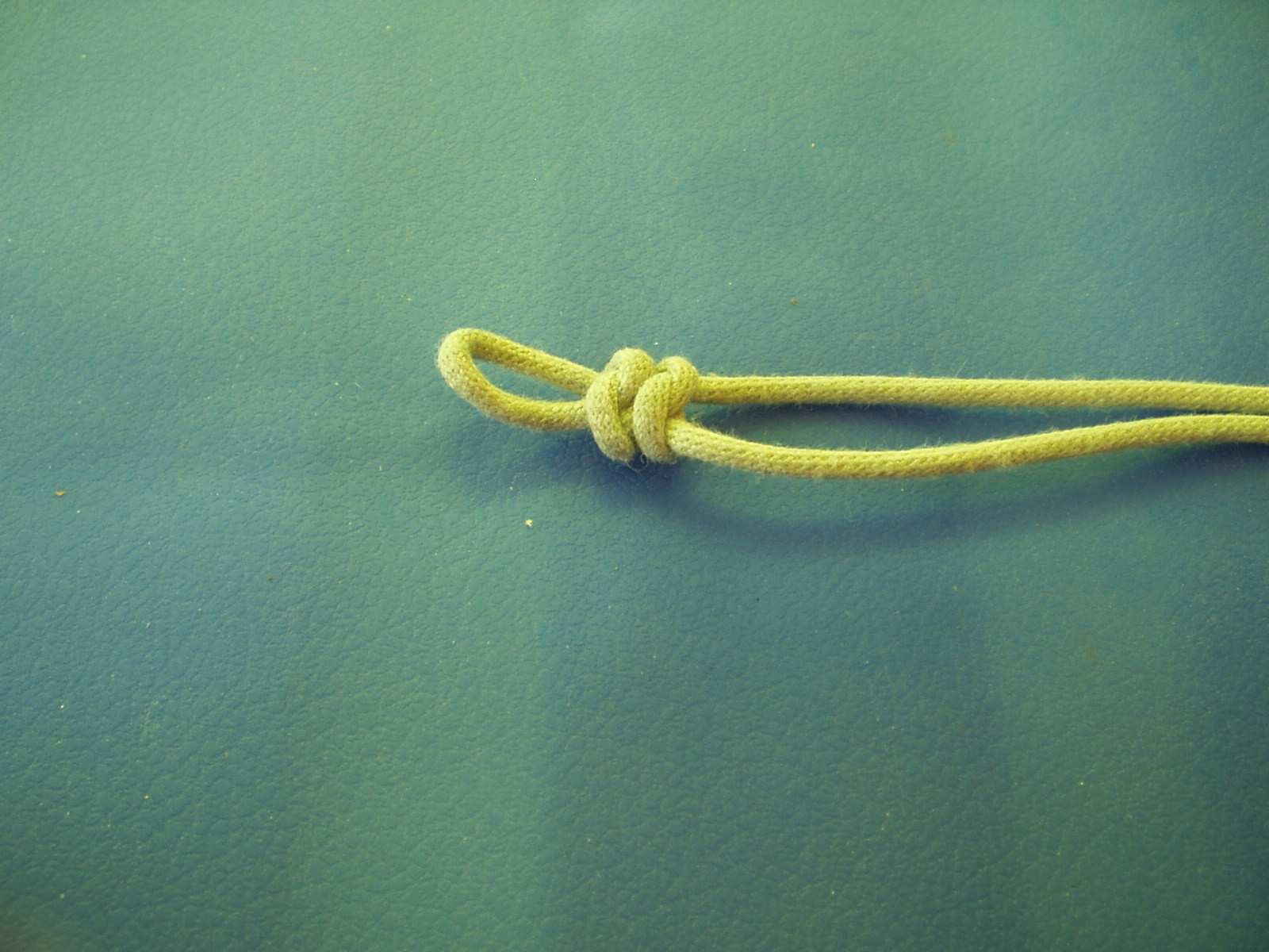 snake knot 008.JPG