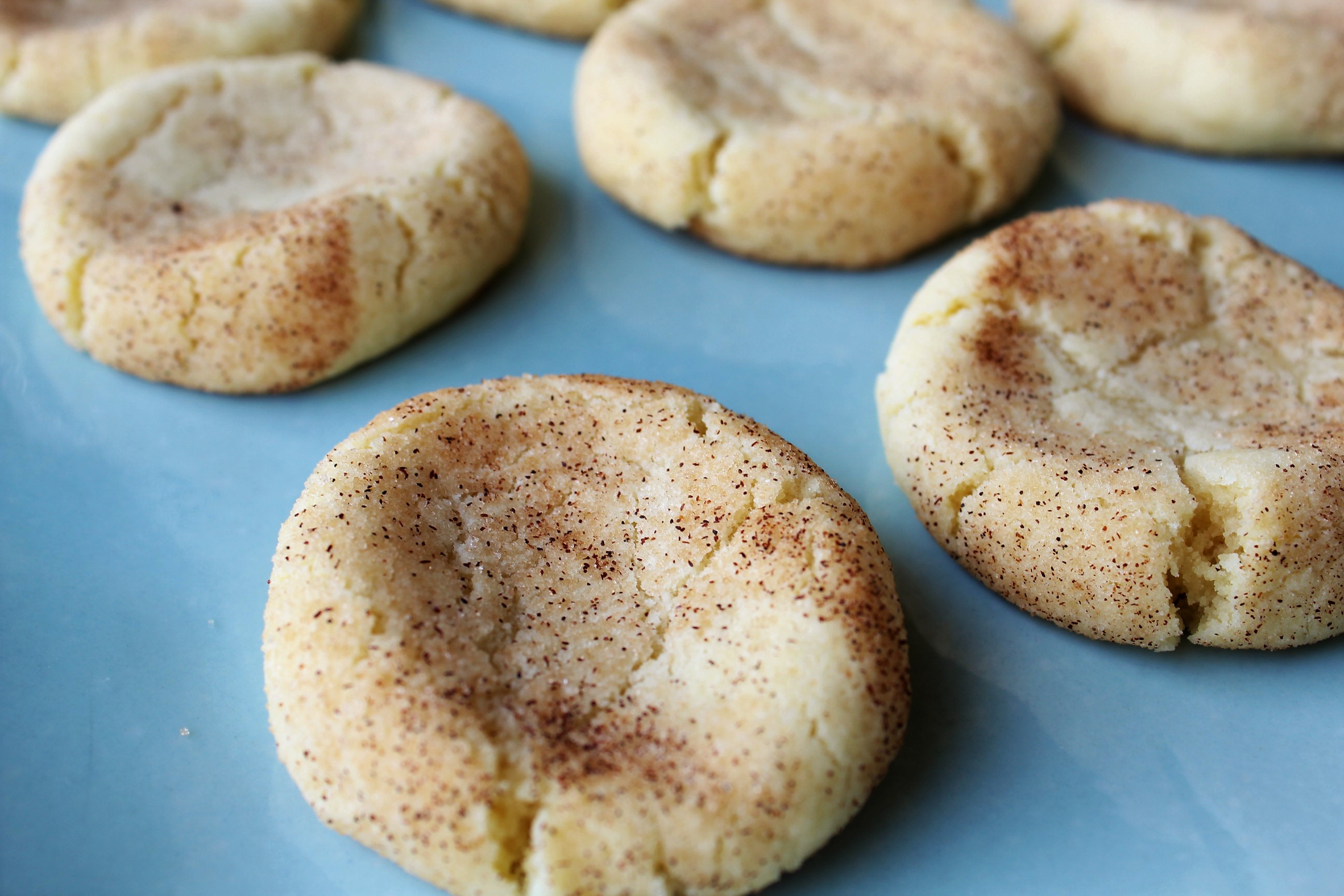 snickerdoodles #2.JPG