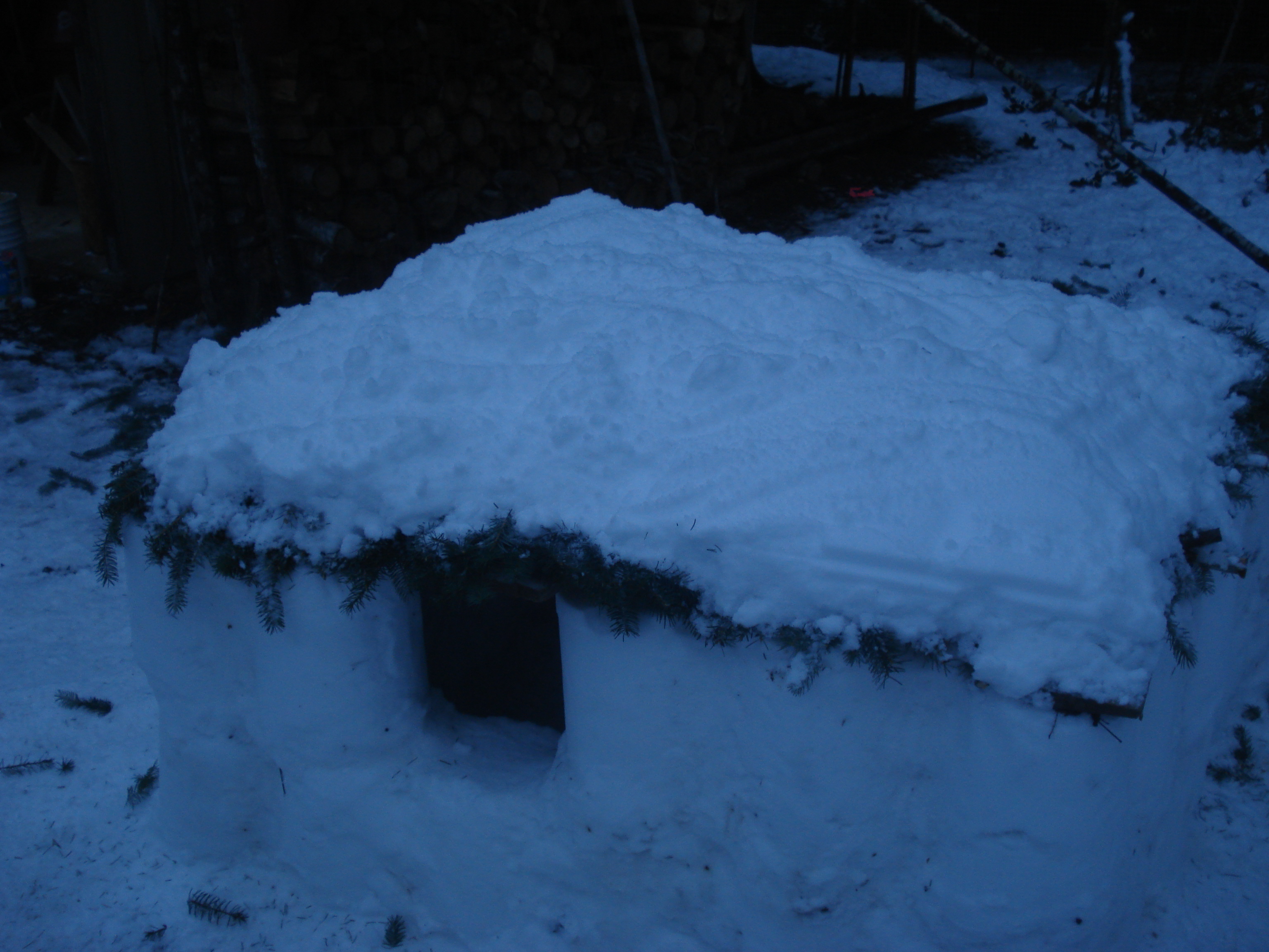 sno fort 080.jpg