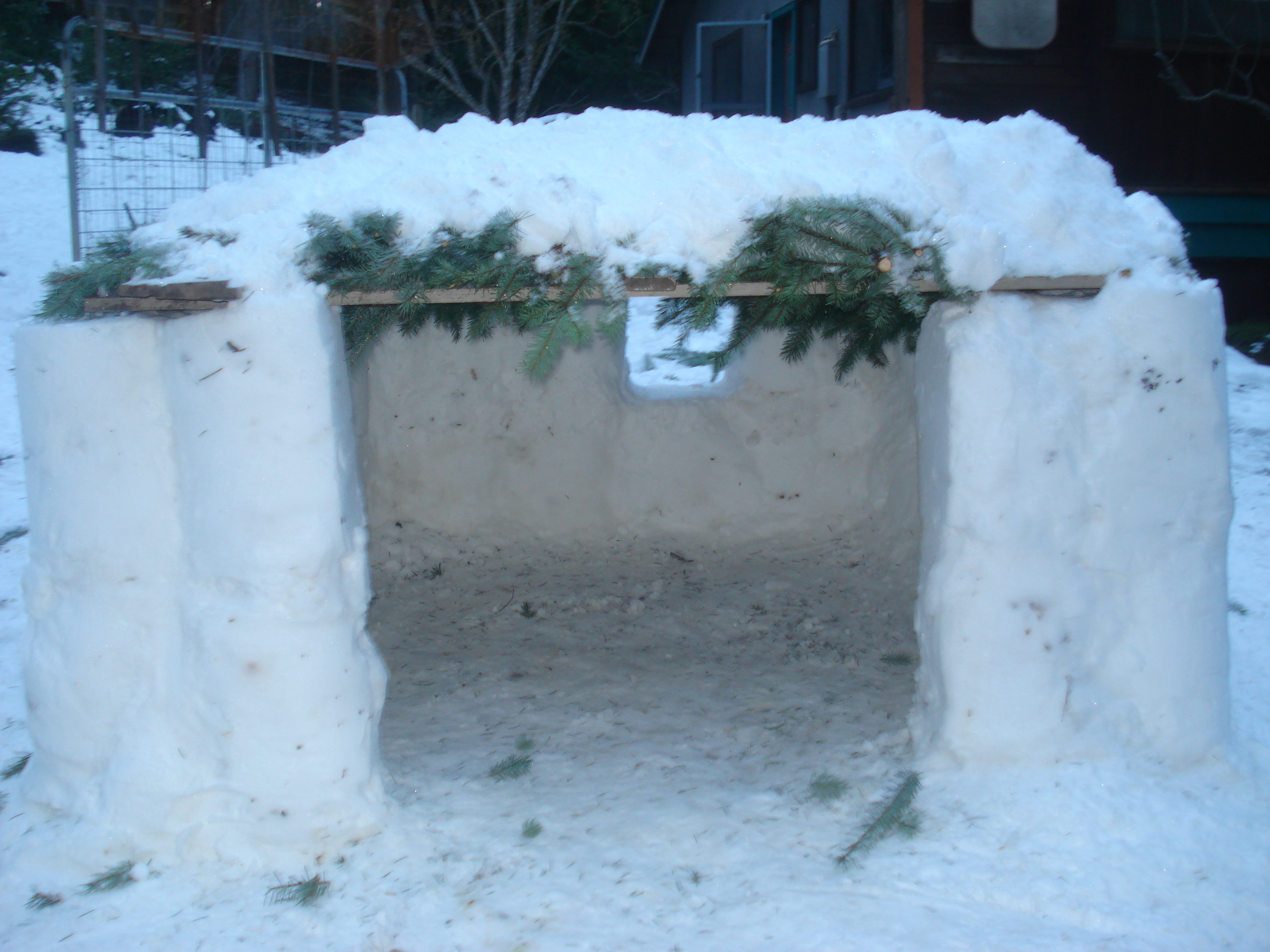 sno fort 081.jpg