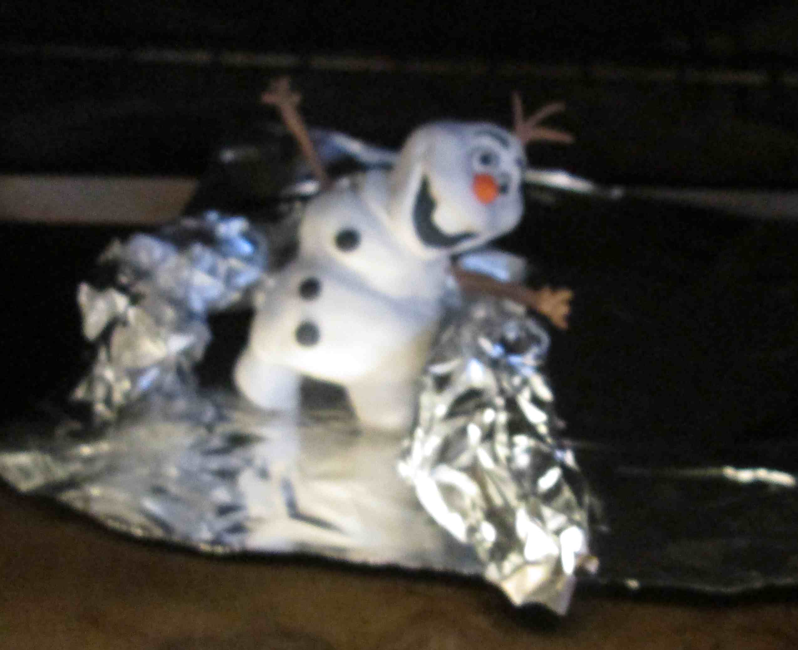 snow globe bake.jpg