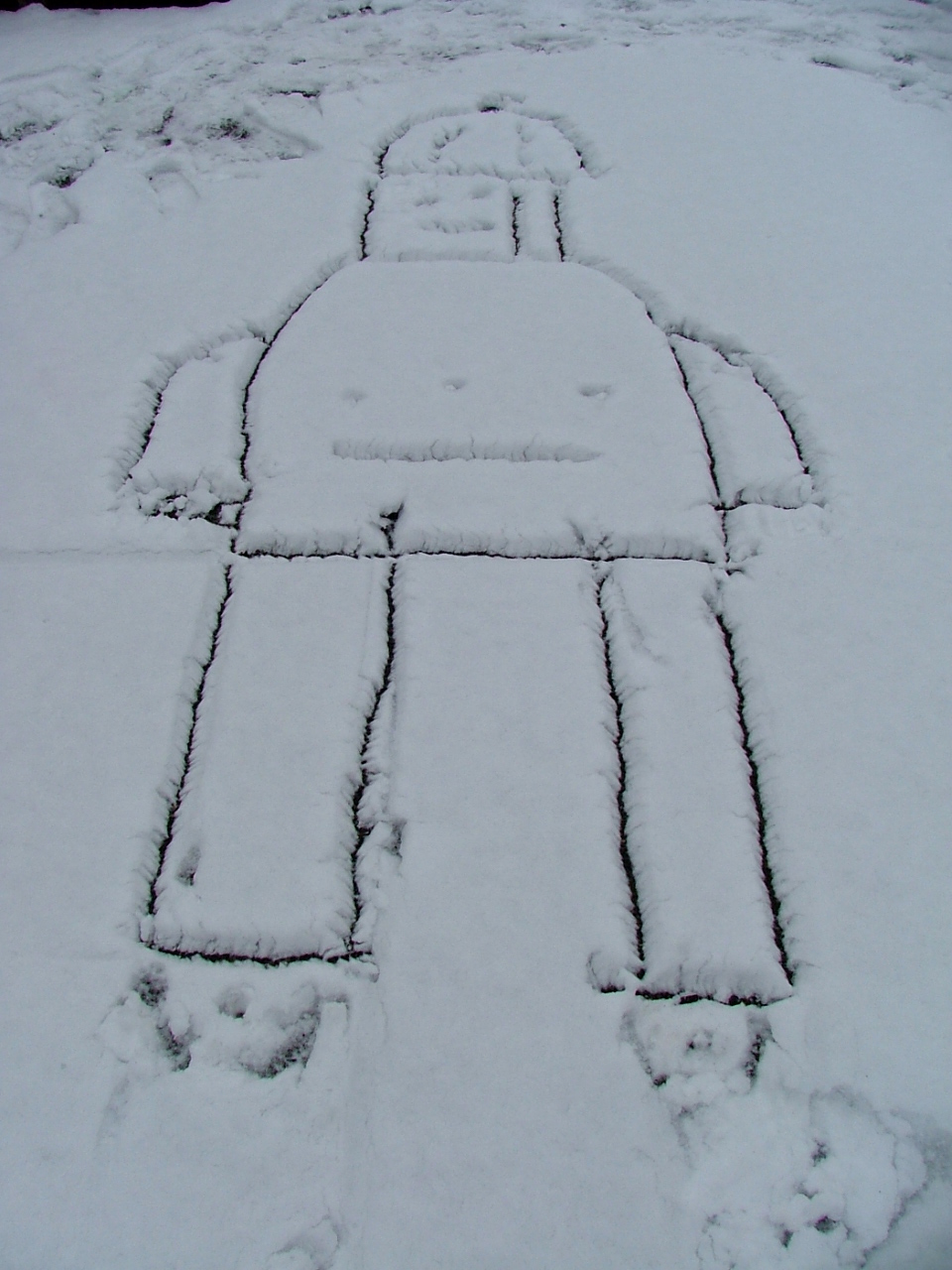 snowbot 007.jpg