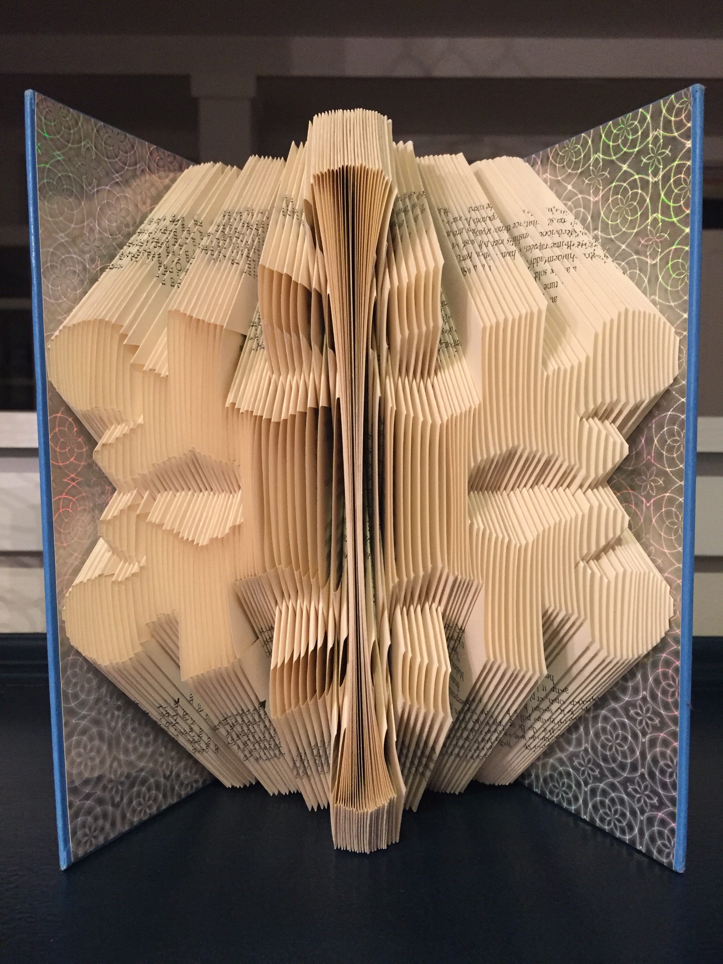 snowflake finished book.jpg