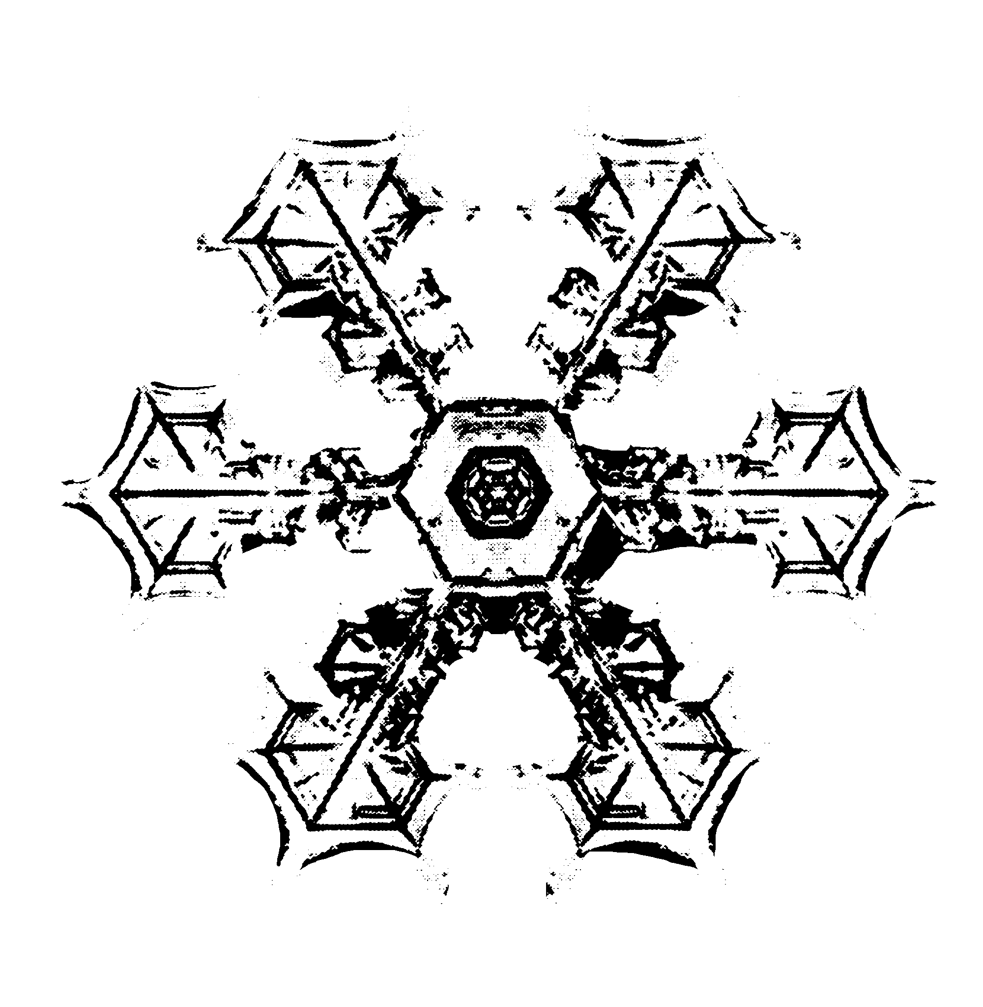 snowflake3.png