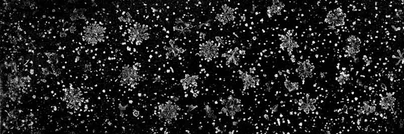 snowflakes.bmp