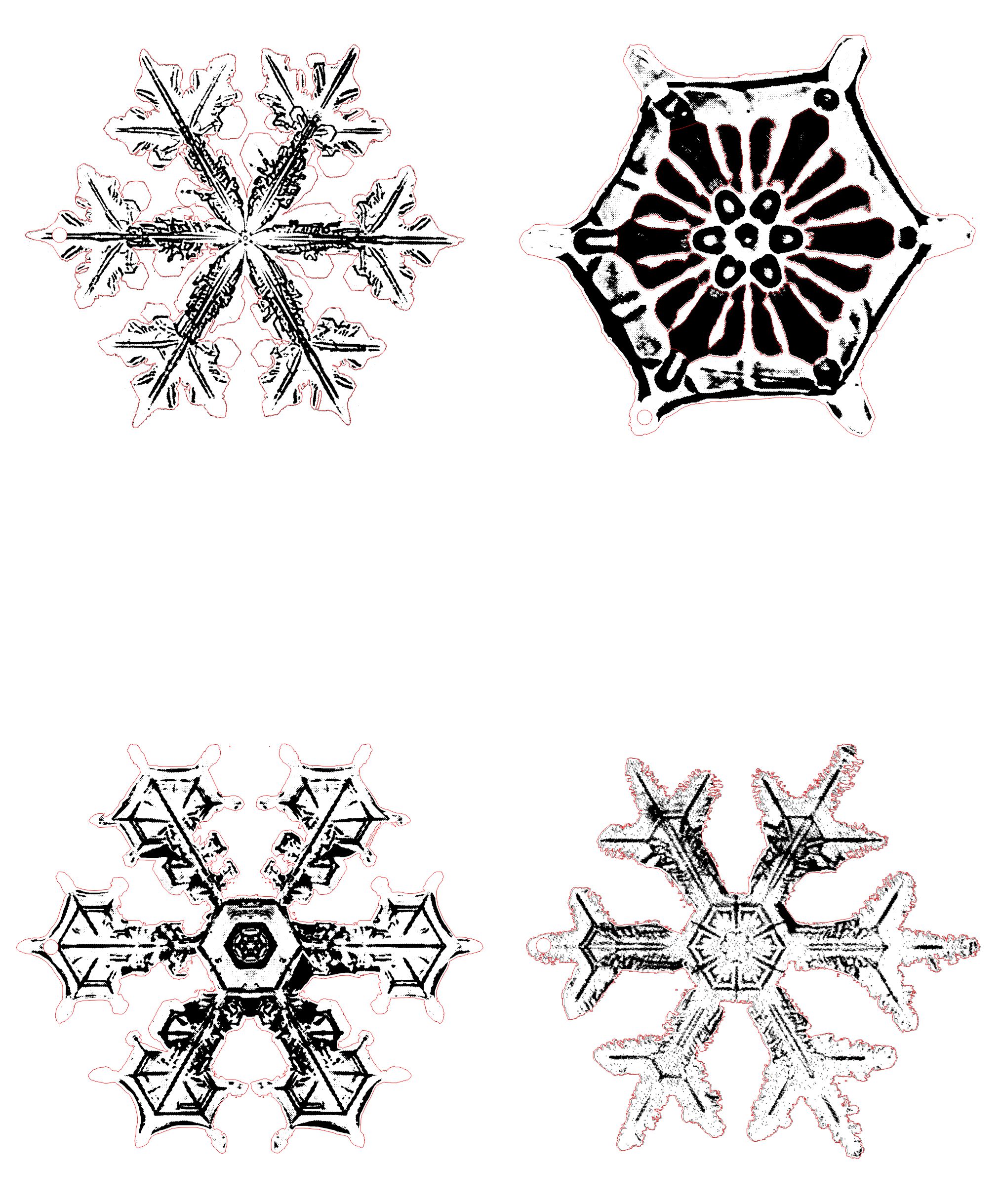 snowflakes_2.jpg