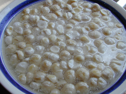 soaking macademia nuts.jpg