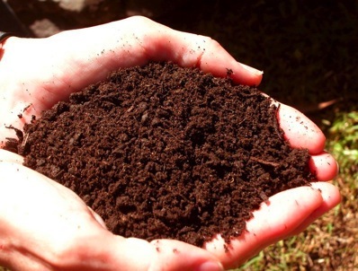 soil in hand.jpg