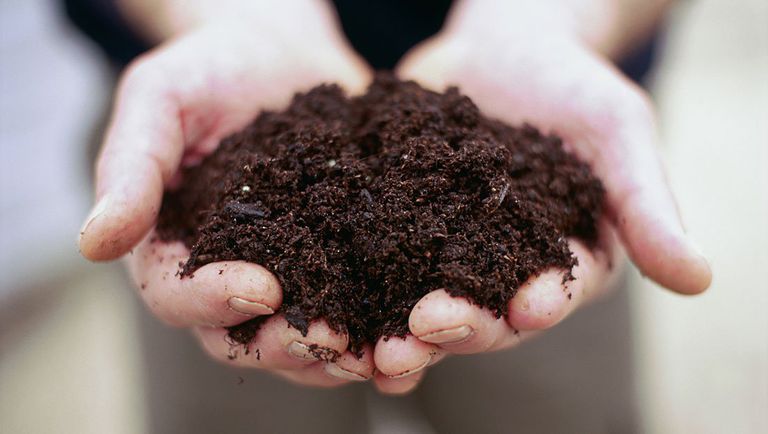 soil-in-hands-francesca-yorke-1524578402.jpg