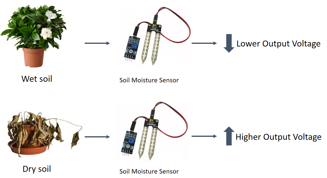 soil-moisture-sensor-e1467578282801.png