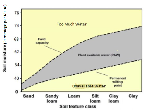 soil.PNG