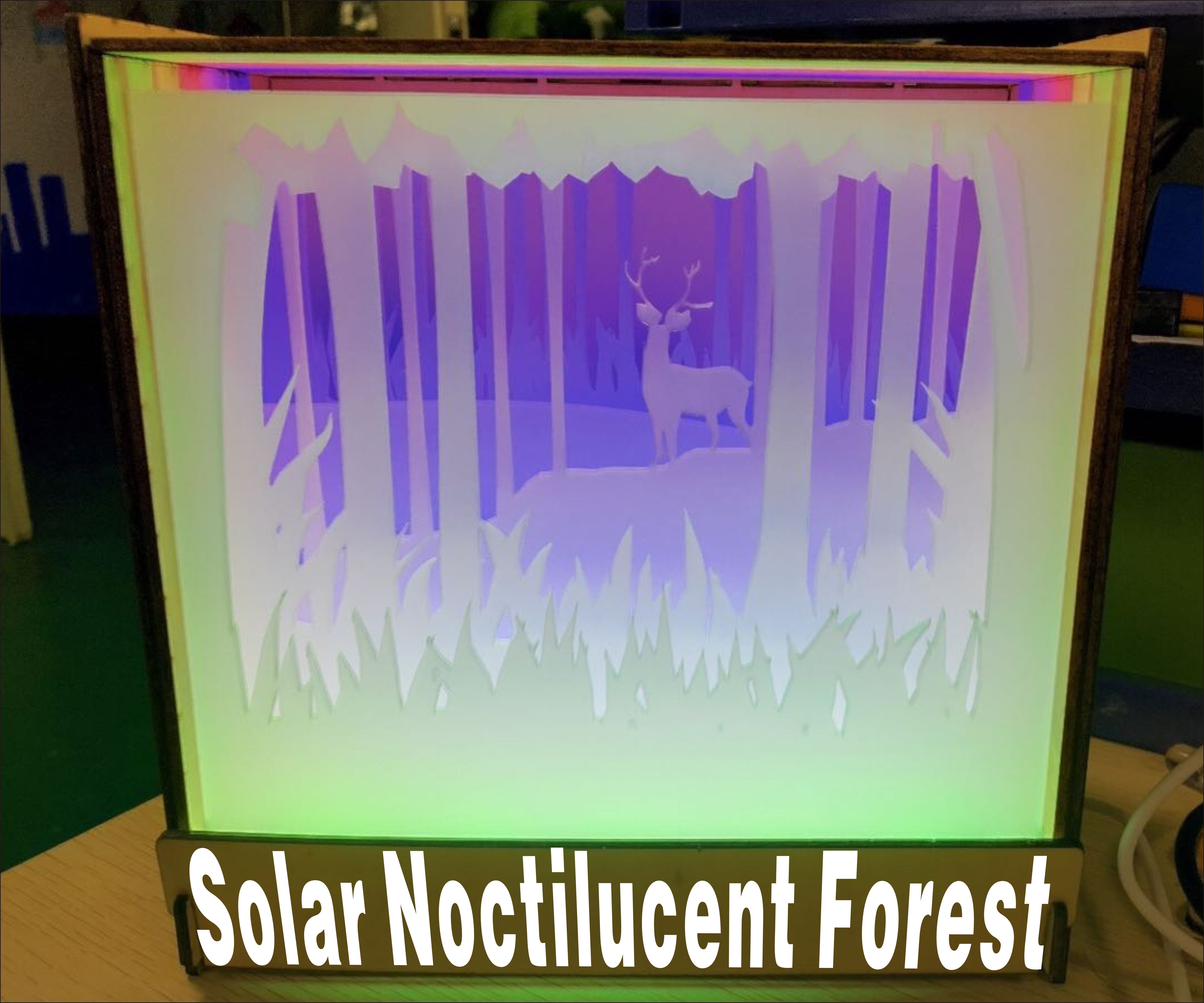 solar noctilucent forest.png