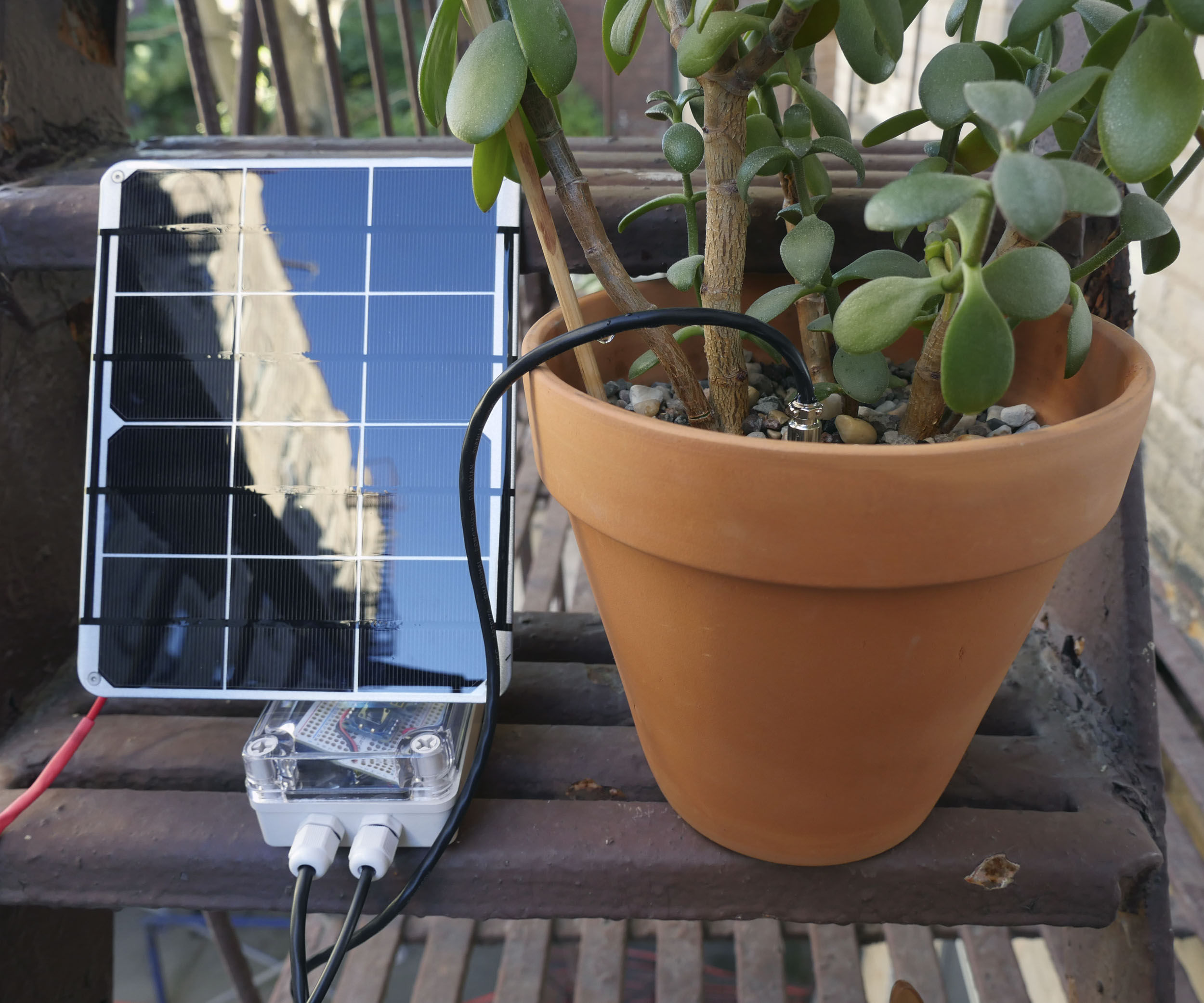 solar-soil-sensor28.jpg