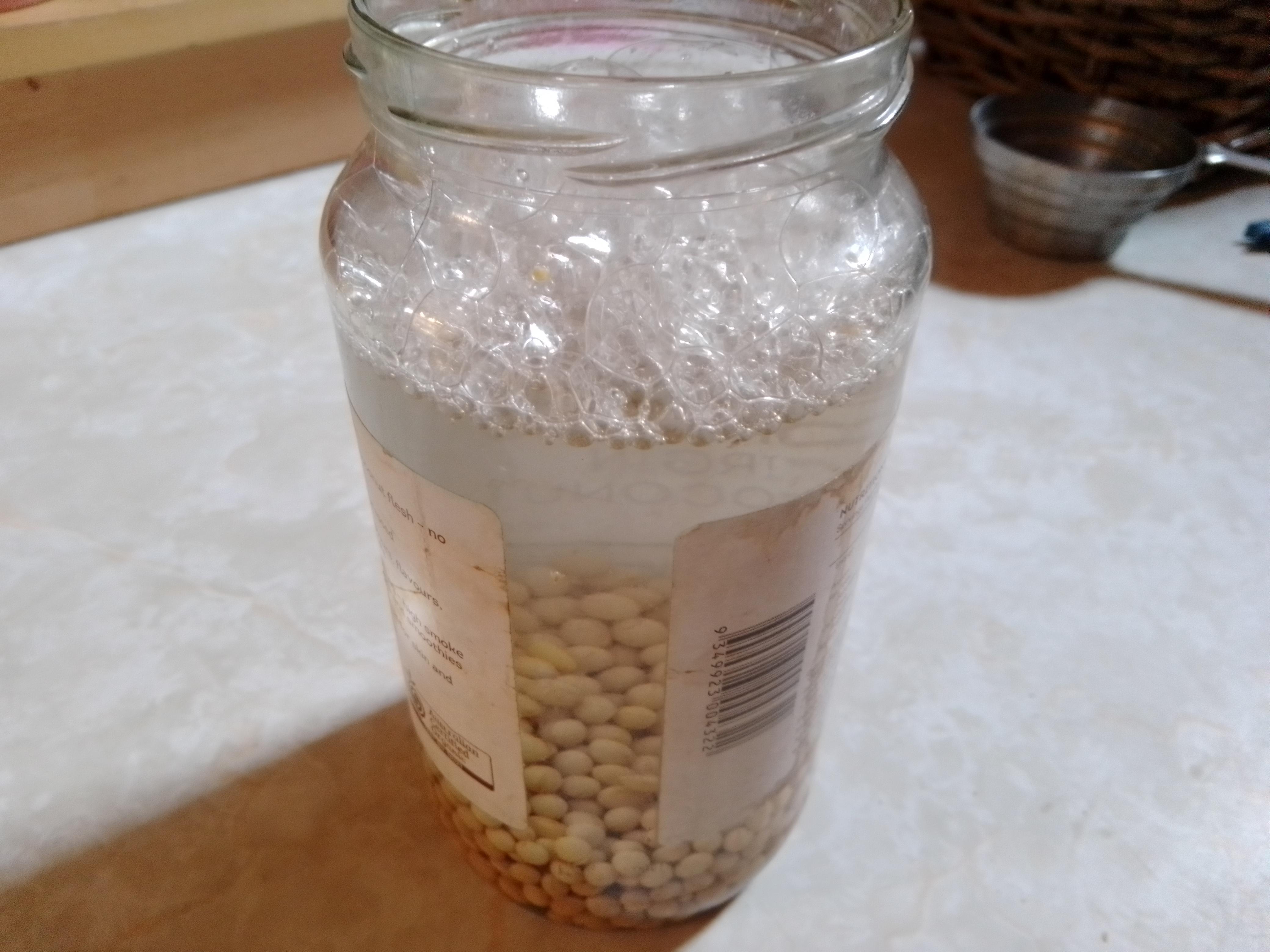 soyco beans soaking.jpg