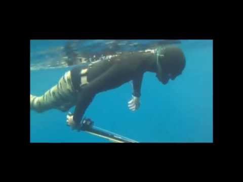 spearfishing tutorial