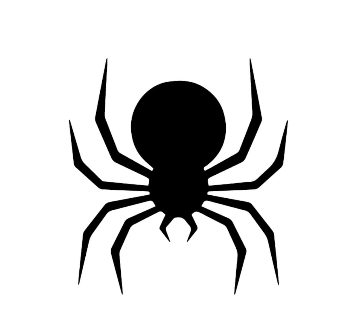 spider image.jpg