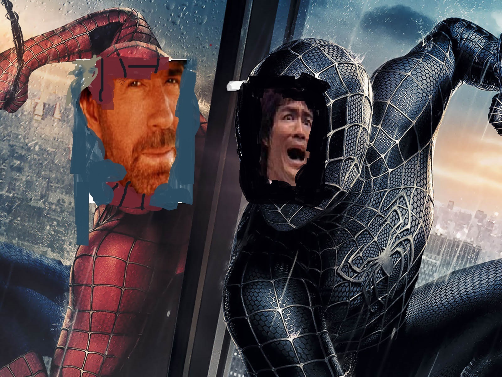 spider norris.jpg