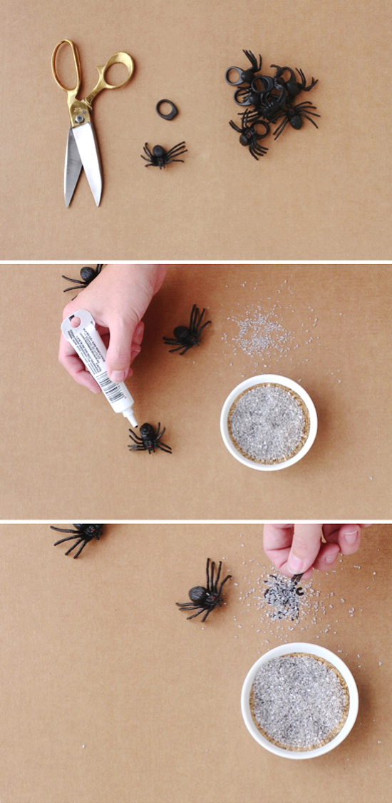 spider.jpg