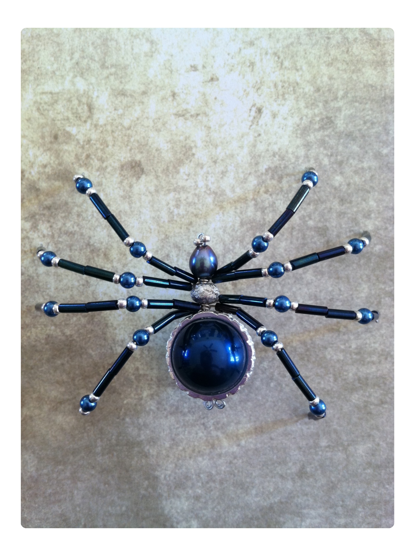 spider12.JPG