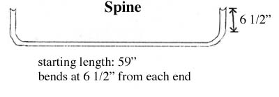 spine-diagram.jpg