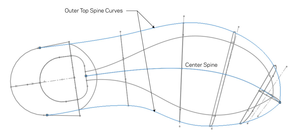 spineCurvesTop.jpg