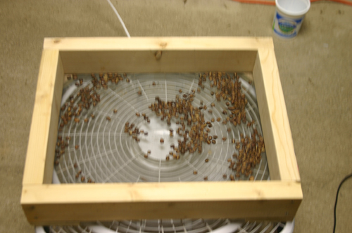 spinning beans.jpg