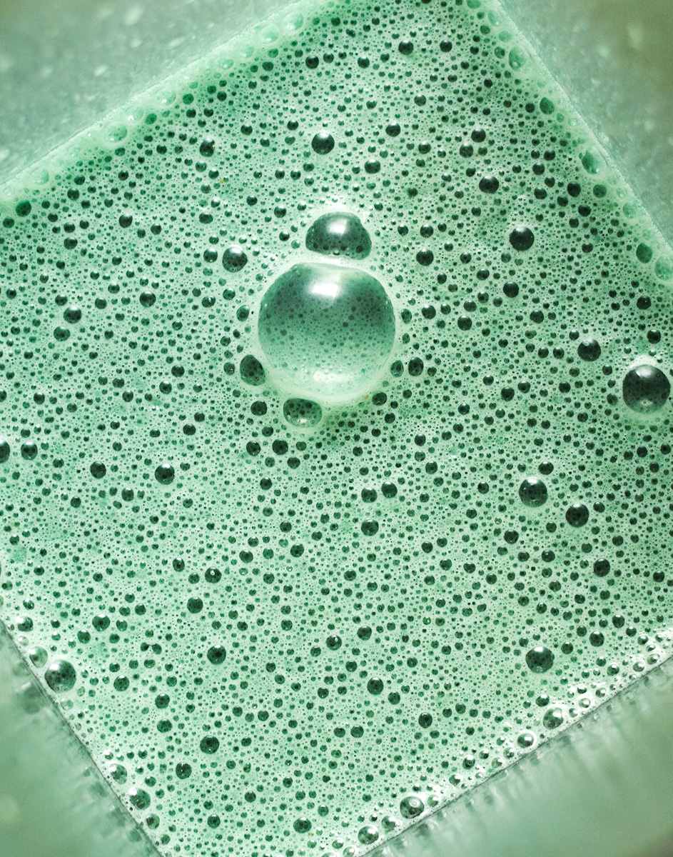 spirulina-shake-5-wm.jpg