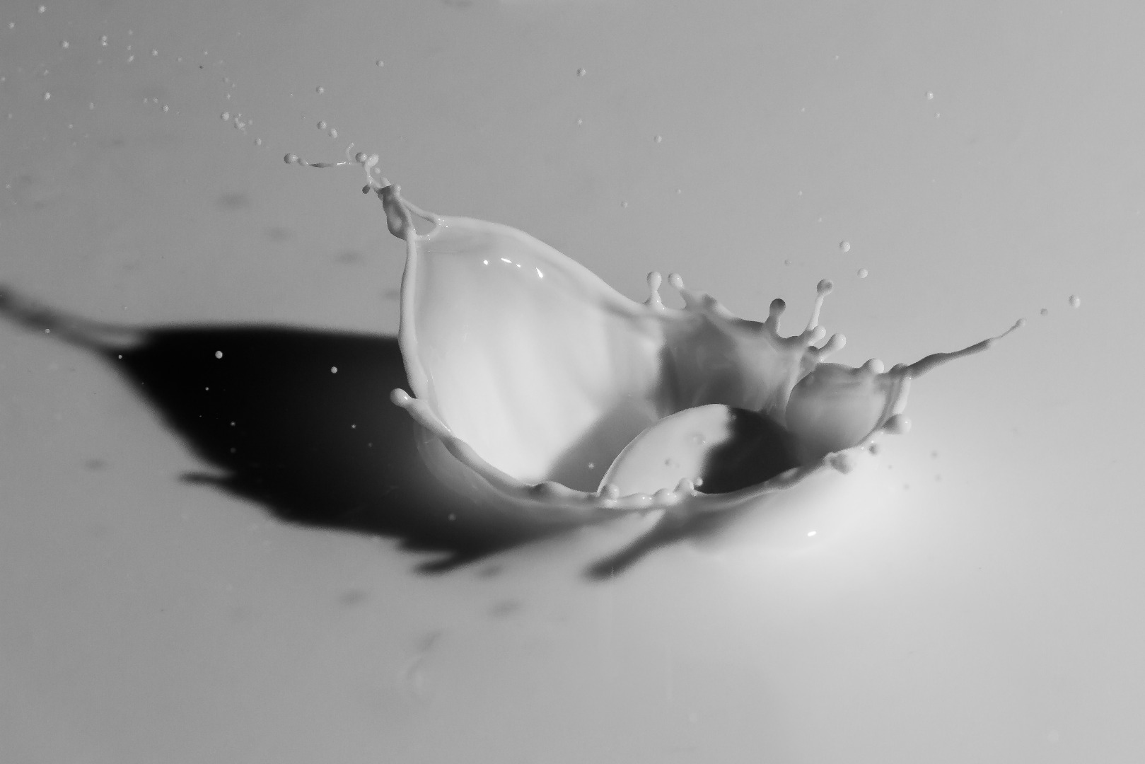 splashes0024-14.jpg