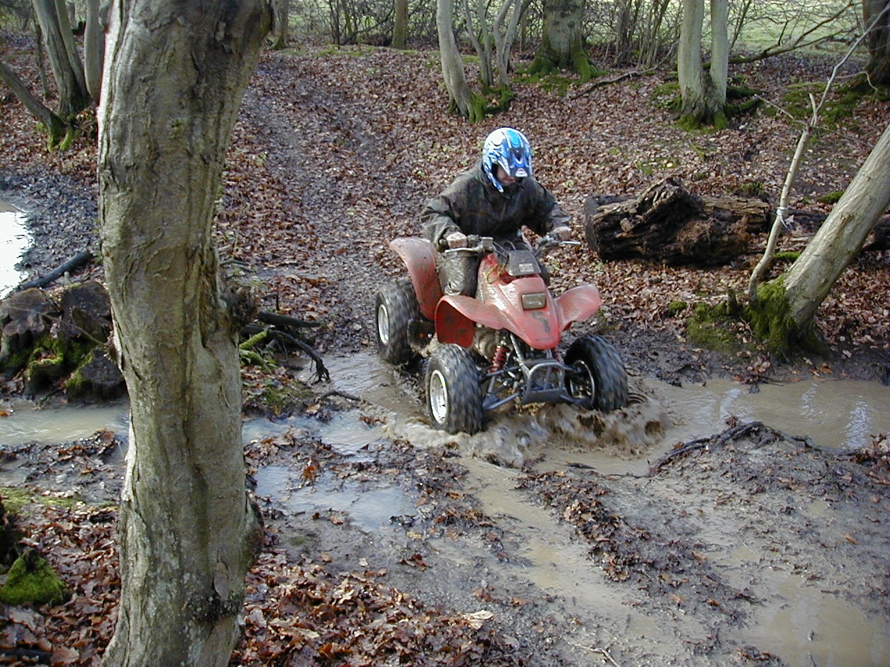 sportrax 250 in mud.jpg