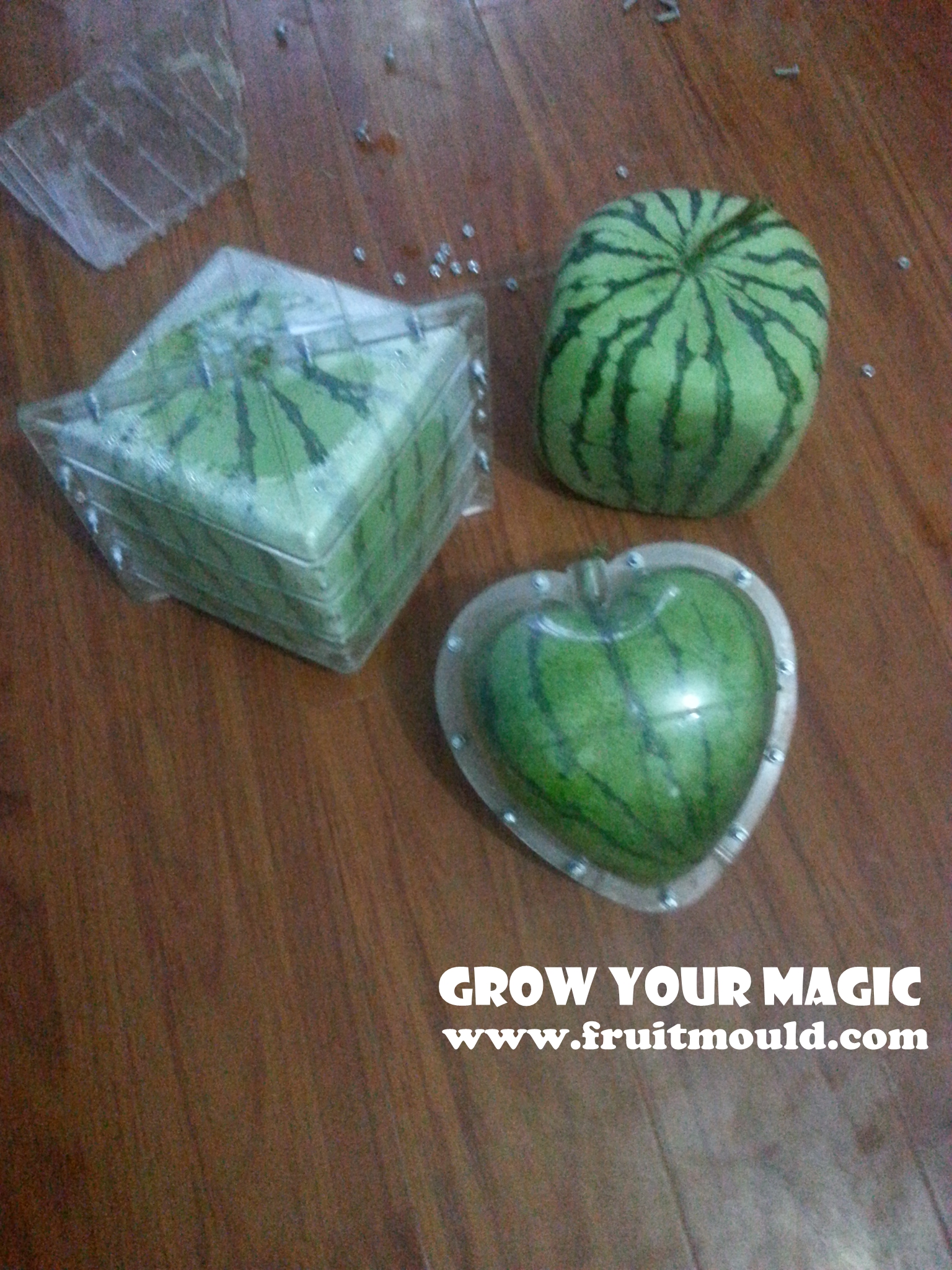 square plastic mold for watermelon.jpg