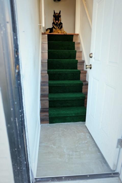 stair complete 2.5.jpg