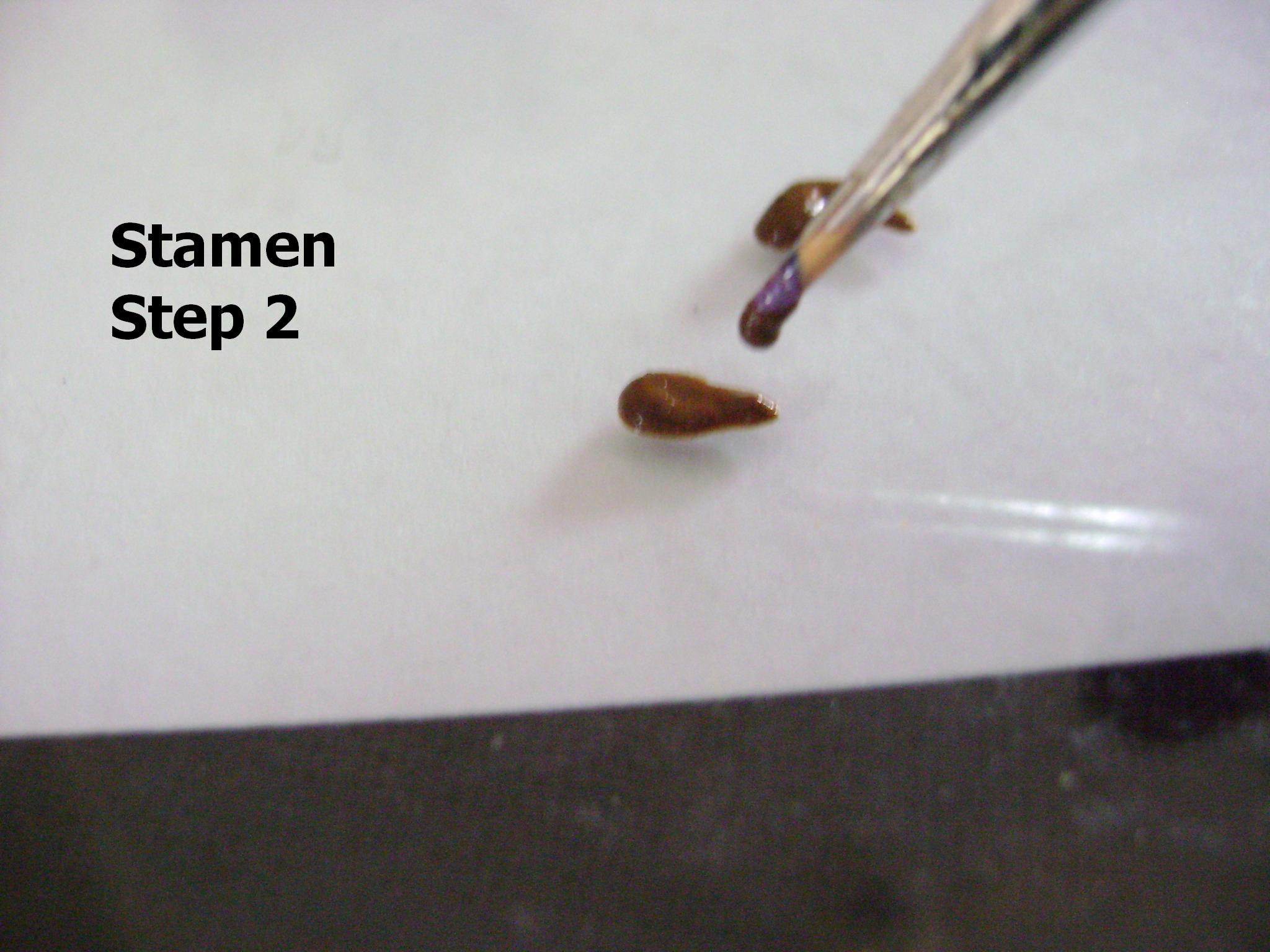 stamen 2.JPG