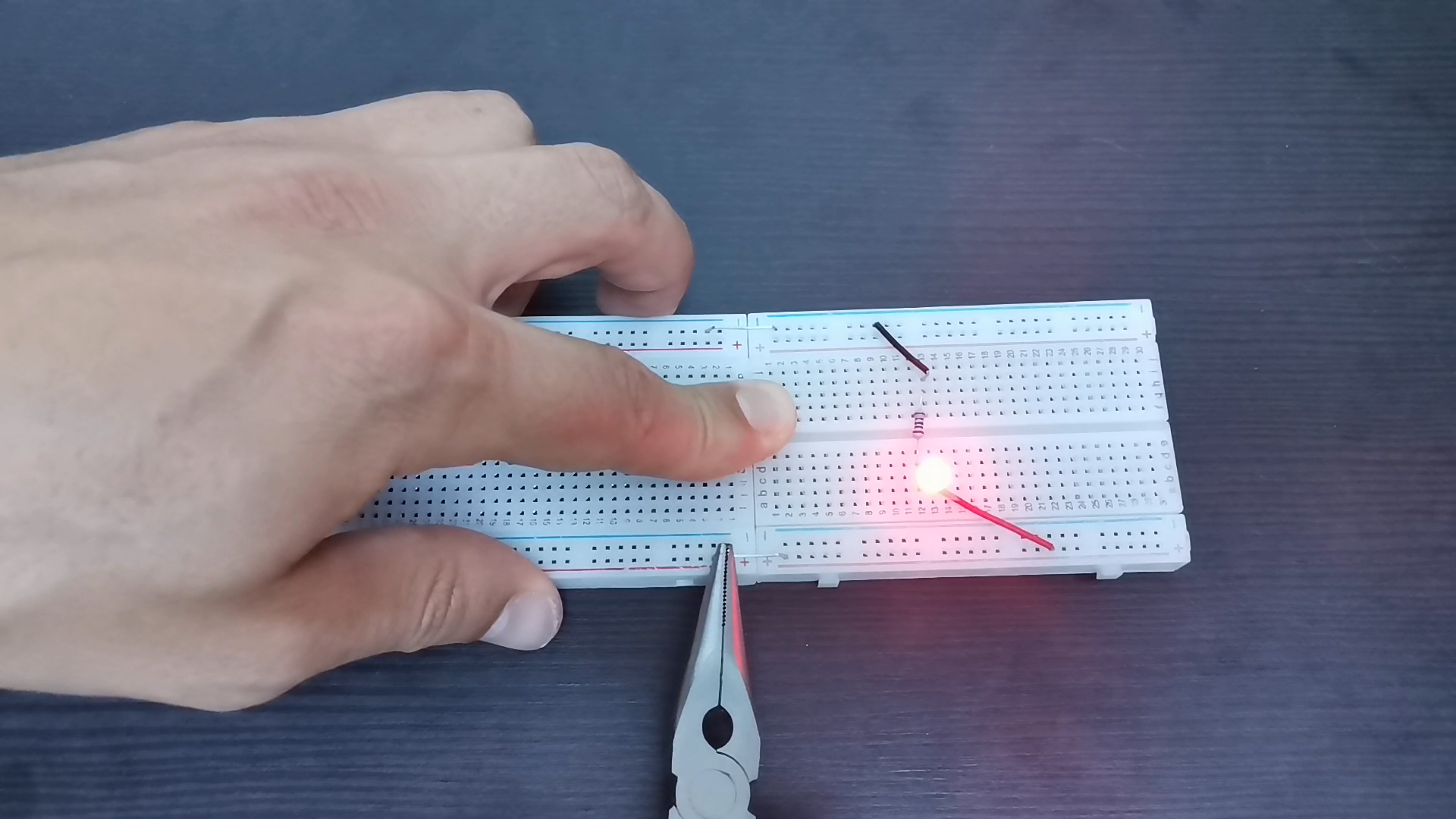 staple.png