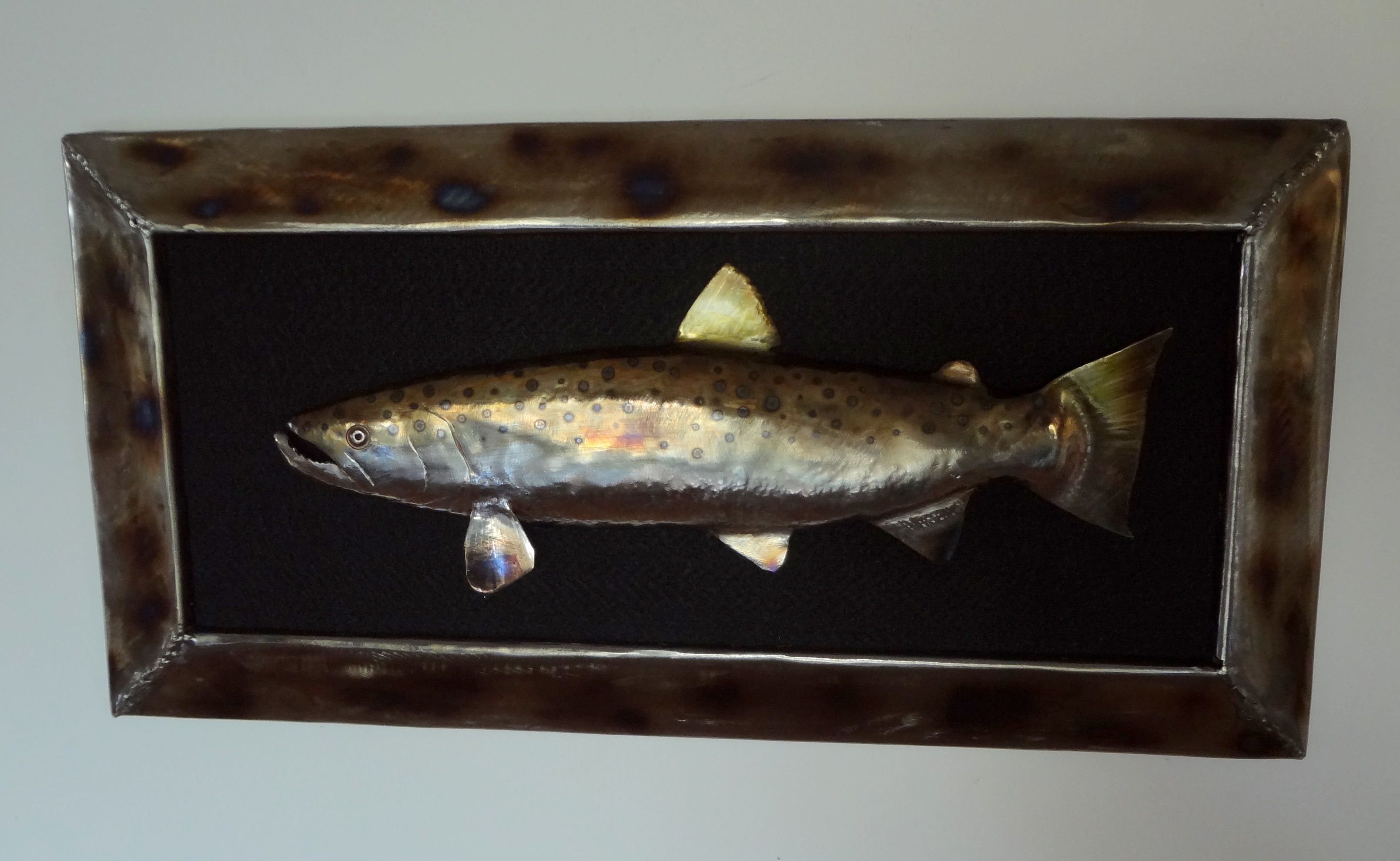 steelhead trout.JPG