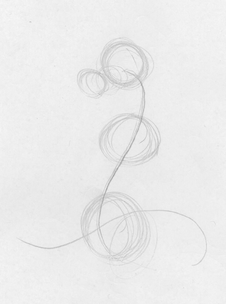 step2-lineofaction.bmp
