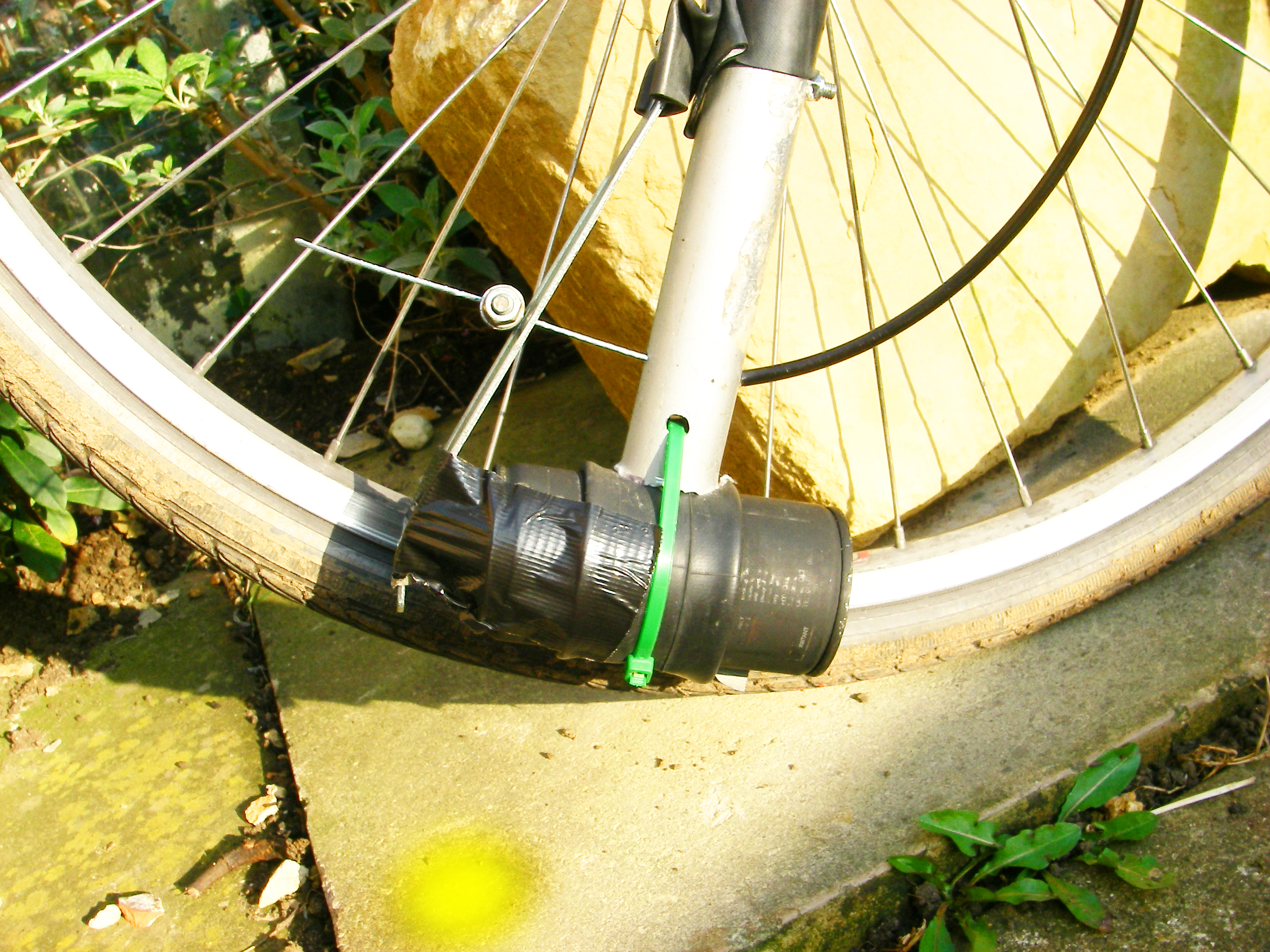 step5.jpg