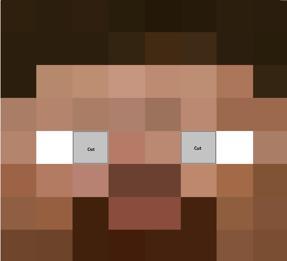 steve head face.png