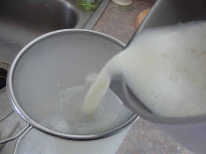 straining milk.jpg